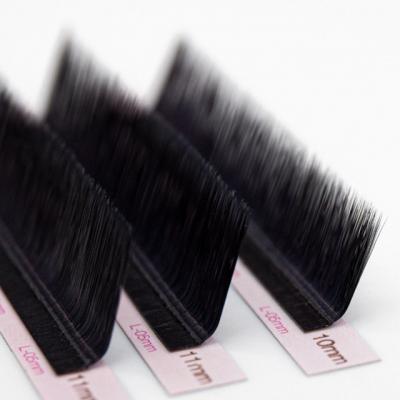 China Long Natural Private Volume Lashes Individual Eyelash Silk Eyelash Extensions for sale