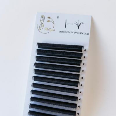 China Natural Long Self Fanning Easy Fanning Eyelash Extensions Quick Fan Eyelash Extensions for sale