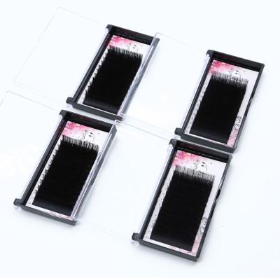 China Individual Volume Lash Natural Volume High Quality Classic Long Eyelash Extensions Eyelash Extensions Extensions Private Label for sale