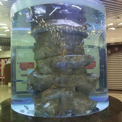 China Sustainable Acrylic Cylinder Aquarium for sale