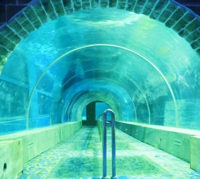 China Customized viable acrylic aquarium tunnel on sale for acrylic aquarium/acrylic oceanarium tunnel project for sale