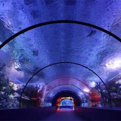 China Viable professional china plexiglass acrylic tunnel for underwater world for sale