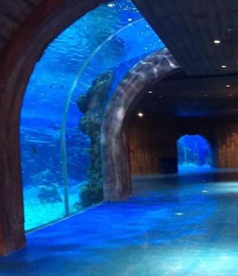 China Aquarium Project Acrylic Oceanarium Sheet Tunnel Project for sale