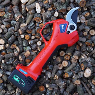 China Anti-skid Cordless Electric Handle Shear Factory Price 2ah Battery Powered Electric Pruner With Led for sale