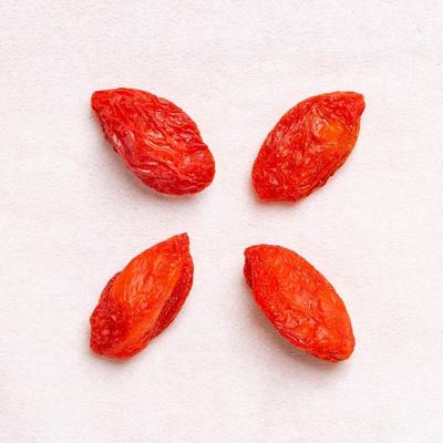 China 2021Year Medlar Dried Organic Goji Berry Fruit Product Hot Selling Good Quality Red Dried Fruits for sale