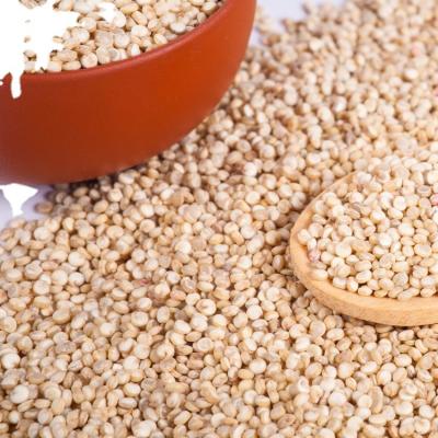 China Bulk Wholesale Organic Himalayan Quinoa Grain Origin Gluten Free Cereal with Competitive Price for sale