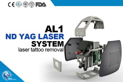 Cina Attrezzatura doppia di rimozione del tatuaggio del laser del ND commutata Q Yag di lunghezza d'onda per rimozione della pigmentazione in vendita