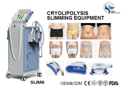 China Handstücke Cryolipolysis des Fachmann-4 fette Gefriehrmaschine für Doppelkinn-Abbau zu verkaufen