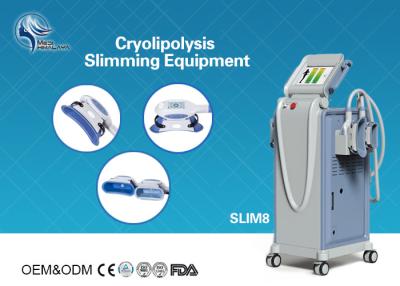 China Innovative Cryolipolysis Freeze Fat Reduction Machine with 4 Handles Work Cryotherapy With USA Pump for sale