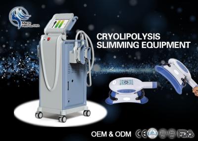 중국 10.4 접촉 색깔 스크린 차가운 기술 Cryolipolysis 뚱뚱한 어는 기계/장비를 조금씩 움직이십시오 판매용