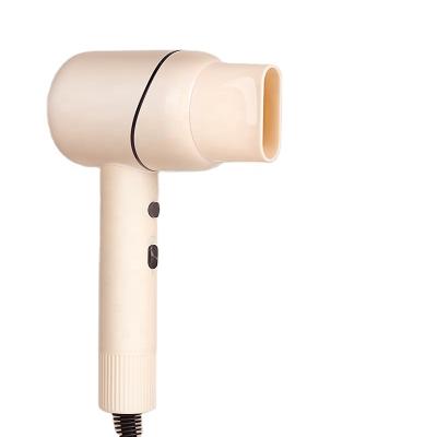 China 2021 New Arrival Ionic Household Blow Dryer Ionic Hair Dryer With Low Noise for sale