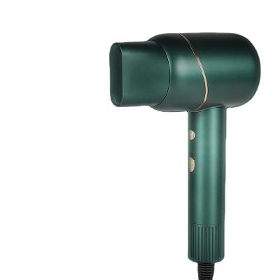 China 2021 Household Portable Ionic Blow Dryer Intelligent Adjustable Temperature Hair Dryer With Low Noise for sale