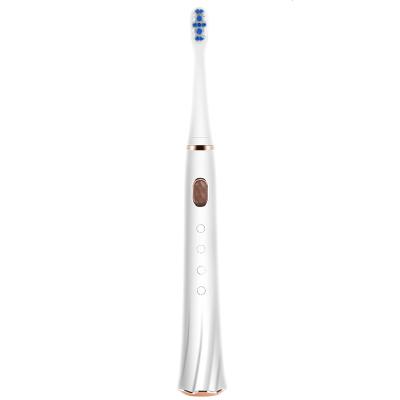 China Soft Rechargeable Automatic Portable High Quality Handheld Oral Hygiene Rotating Sonic Travel Toothbrush For Adult Electric for sale