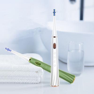 China Smart Sonic Electric Toothbrush Automatic Whitening Deep Cleaning Cordless Toothbrush For Oral Care for sale