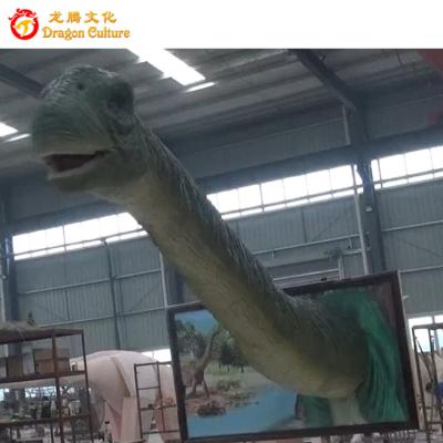 China Outdoor& indoor realistic animatronic brachiosaurus head dinosaur simulation park life size model for sale for sale