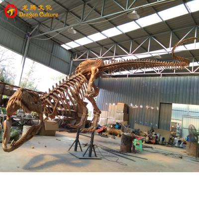 China Museum Park Dinosaur Fossils Large Dinosaur Skeletons Of All Kind Of Dinosaur Species for sale