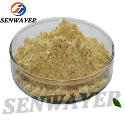 China African Mango Seed Extract Powder Weight Loss 10: 1 Natural Irvingia Gabonensis Powder for sale