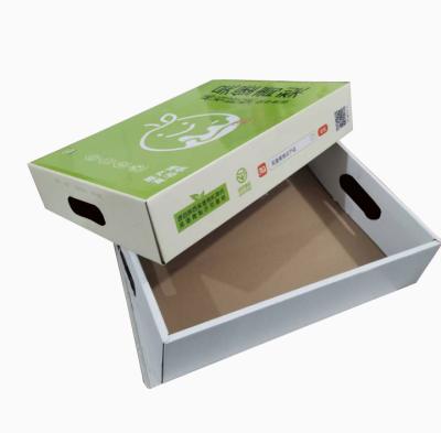 China Paper Box For Fruit Good Prices Top Quality Customized Packaging Paper Boxes For Fruit for sale