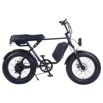 China New Arrival Standard 20 Inch Fat Tire Electric Bike Super Ebike 48V 500W for sale