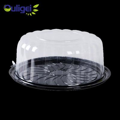 China Biodegradable Free Sample Disposable Round Plastic Blister Packaging Cake Box With Dome Lid for sale