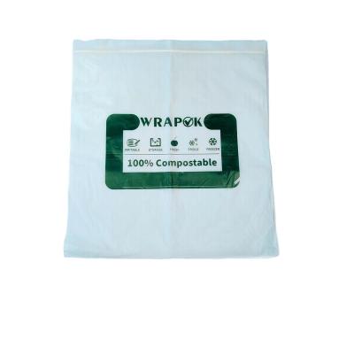 China Biodegradable Biodegradable Custom Ziplock Bag Logo Printing Zipper Plastic Bag For Clothing T-shirt Swimsuit Packaging for sale