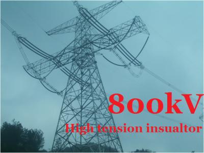 China Composite Suspension Transmission Tower Insulators High Tension 800 kV for sale