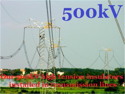 China 500kV Polymer Transmission Tower Insulators Lightweight Dual Corona Ring for sale