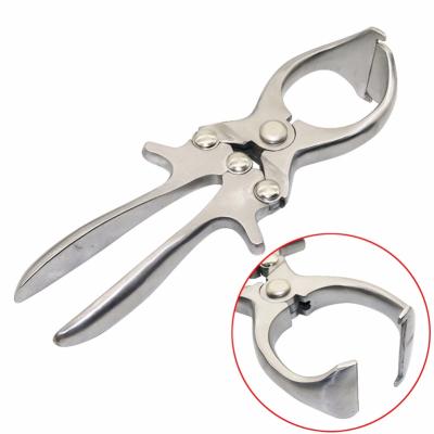 China h PETHEY Anemic Articulated Veterinary Anemic Castration Sheep Cattle Castration Pig Clamps Castration Forceps For Sale Pethey-02 for sale