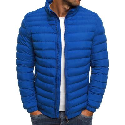 China QUICK DRY customized logo 2021 winter men tailored thickened short warm jacket wool down jacket men for sale