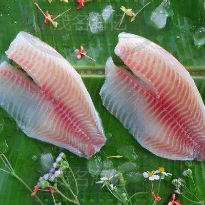 China FROZEN Tilapia Fillet 2/3Oz 85%NW for sale