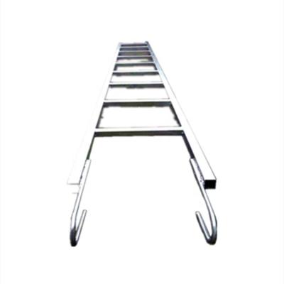 China Modern Steel And Aluminum Scaffolding Ladder Monkey Ladder for sale