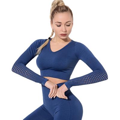 China Newest Breathable Fitness Clothing Multicolor Quick Dry Seamless Gym Running Long Sleeve Crop Top Women for sale