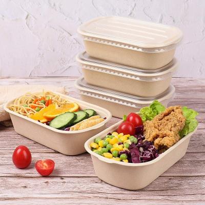 China Lancheira descartável para viagem Compostable do bagaço dos recipientes de alimento com tampa à venda