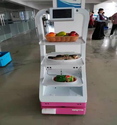 China 3G Warehouse Restaurant Navigation Remote Control Robot Autonomous Service Delivery Smart Robots for sale