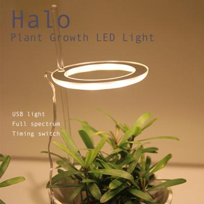 China Seed Starting Growing Angel Ring Full Spectrum Lamp Succulet Indoor Flower Grow Light Phytolamp DC5V USB Led Grow Lights Plants for sale