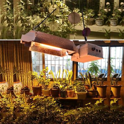 China Seed Starting Dimmable Dimmable 1000W Dimmable Greenhouse HID Light Double Ended Hydroponic Plant HPS Grow Light Lamp for sale