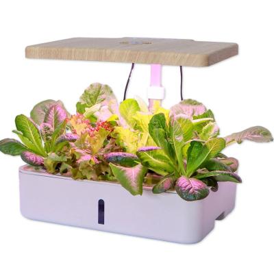 China Desktop Indoor White LED Umbrella Grow Light Planters Vegetable Flower Hydroponic Growing Systems Mini Smart Garden for sale