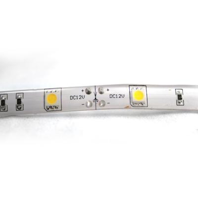 China 5050 SMD IP67 RGB SMART LED STRIP LIGHTS 30leds color changing for sale