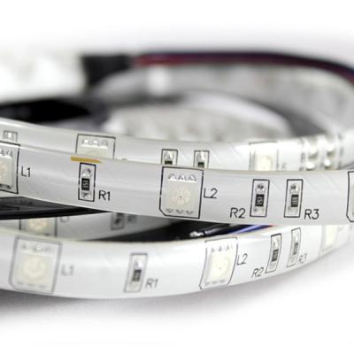 China 5050 FULL CHROME SMD DC12V DC24V RGB LED STRIP LIGHTS IP67 RGB LED RGB LED STRIP LIGHTS SMART FLEXIBLE STRIP LIGHTS WATERPROOF for sale