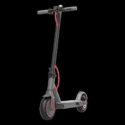 China Unisex Electric Bike 350W Door To Door Electric Bicycle Folding Scooter for sale