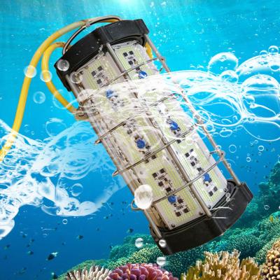 China 316 Stainless Steel Hot sale Green Fishing Light IP68 Deep  Fish Finder Submersible Deep Drop Underwater Lure 2400W Fishing Attracting Lights for sale