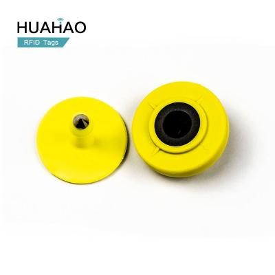 China Waterproof/Waterproof Customized 134.2KHz EM4305 PP Cattle Pigs Farm Cow RFID Plastic Animal Ear Tag From HUAHAO RFID Manufacturer for sale