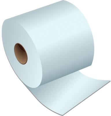 China Interior Ministry Public Places General Supply Printed Bathroom Toilet Paper Tissue Paper Roll Papel Higienico Doble Hoja for sale