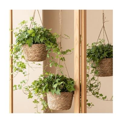 China New Design Durable Minimalist Style Durable Strong Customized Color Storage Planter Hanging Basket for sale