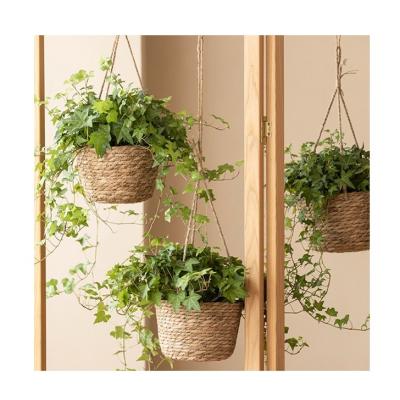 China Durable Customizable New Color Universal Use Flower Pots On Wall Hanging Planter Basket for sale