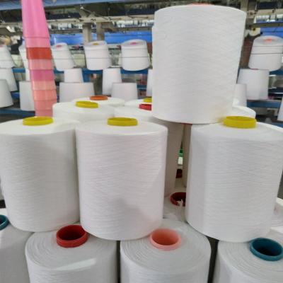 China Different Types Of High Tenacity Thread 100% Polyester For Garment Sewing for sale