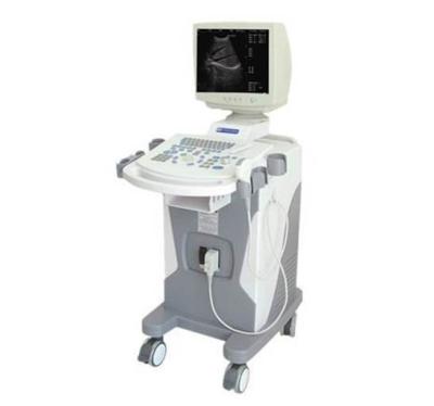 China Hospital Equipment Full-Digital Trolley Ultrasound Scanner Echographie for sale