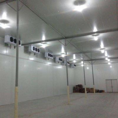 China Various kinds of equipment cold storage hotels for fish seafood cold room refrigeration freezing rooms for sale