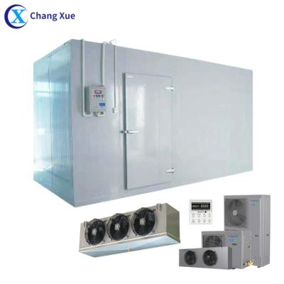 China Hotels Mini Coldroom Container Price Walk in Mobile Freezer Cold Room Cold Storage Project Manufacturer for sale