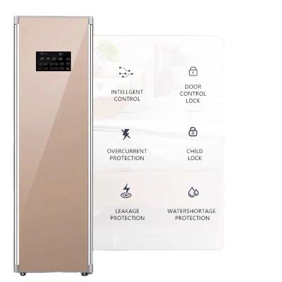 China High End Modern Fashion RV Smart Automatic Remote Control Steam Ironing Hot Air Clothes Care Cabinet for sale